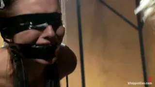 Double Penetrated Slut - Kink