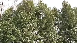 Curvy Lady From Germany Trying Anal for the First Time