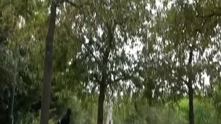 Big boobed French babe enjoys hardcore fuck