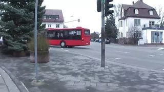 Brunette Slut Fucks for Pocket Money