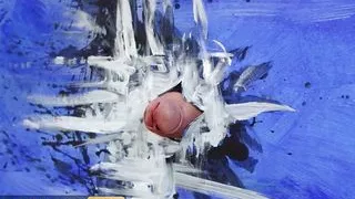 BRAZZERS - It's Hard For Evie Rees To Resist Not Touching The Art When It's So Tempting Like Danny's Big Cock