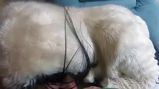 Milfycalla- Face Fuck While Wearing White Fur Coat and Ugg Boots 208i Think You Were a Bad Man Today.