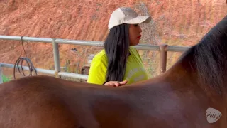 Potra Pelaje Sex Movies Featuring Pelaje Mix