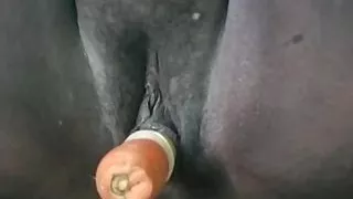 Desi hot lesbian tamil aunties dirty talking pussy insert carrot