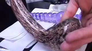 An attractive German bitch fucked hard after hot BDSM Action