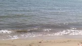 Slut from the beach with a perfect pussy ends up in my hotel room with a creampie POV