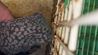 Masturbating in Panties