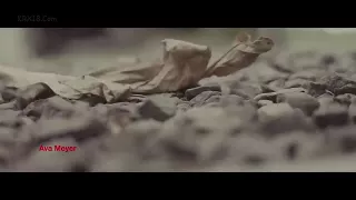 Blondine mit dicken Möpsen gevögelt