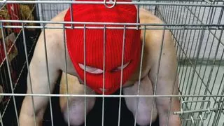 Dominatrix Nika takes sex slave out of cage just to fuck him in the ass