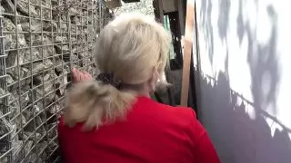 Checking Young Cocks - Grandmams