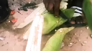 Day of delicious serving