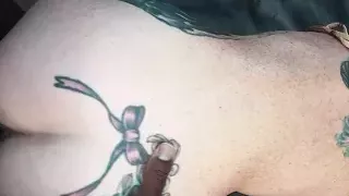 Jay's in Summer During the Winter