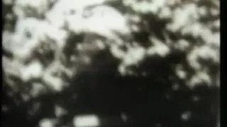 Scandali di Hollywood - scene 3