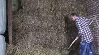 Hot babe with big boobs has sex in farmhouse