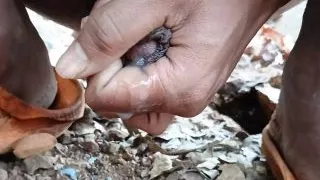 Boy masturbate in forest