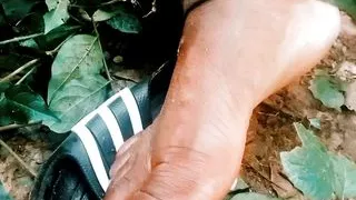 Highly feeling in the Bush