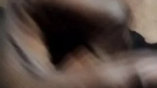 Hamster India and boy