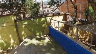 Teaching yoga and workouts to the little neighbor