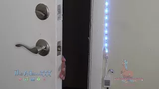 Ebonyarsch eingeölt und vom BBC gefickt