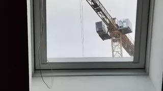 I show my tail to the crane operator