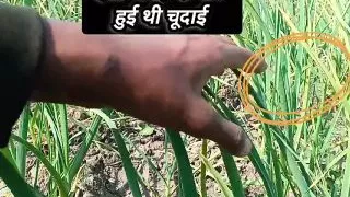 Indian Naughtiest Stepsister Sex