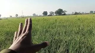 Desi Bhabhi Hot Hard Sex Indian Desi Sex Singapore Sex Singapore Sex Australian MILF