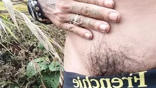 Inside the forest, the canar of the noody is enjoying high