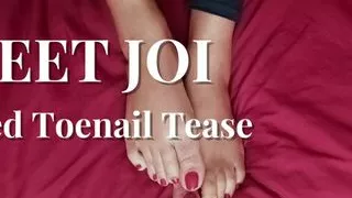 Feet Seduction: Red Toenail Tease