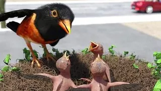 Let's Go To The School - Futa Dominium 2 The Carnage