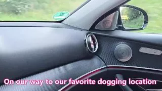 Last day of summer 2024 for dogging