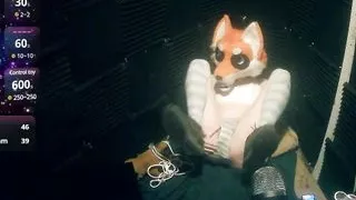 Three Vibrators, One Fox