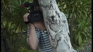 Beautiful Young Black Woman Ass Fucked by Big Cock in the Pool