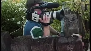 Beautiful Slut Fucked by Big Black Cock by the Pool