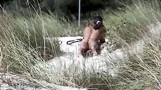 Hot Brunette Naked in the Dunes