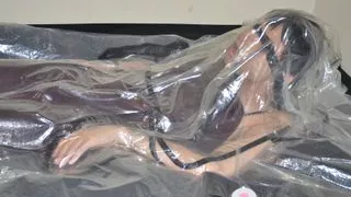 Feb 19 2025 - VacPacked in my long wine dress with my PVC aprons and hockey vest