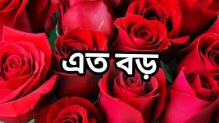 Bangla choto golpo Bangla choti golpo new full Bangla choti golpo full story in Bangla audio