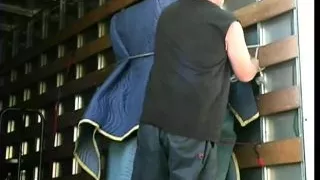 COLLECTORS - Love Machine - Episode 6