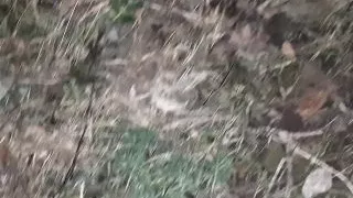 Risky Mutual Lesbian Masturbation in a Public Place