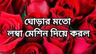 Bangla choto golpo new hot romantic Bangla choti full story in Bangla audio choto golpo