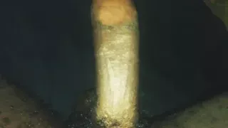 I didn't touch it but it stood up