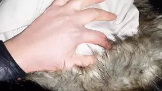 On the First Day We Met, She Licked My Pussy in a Park