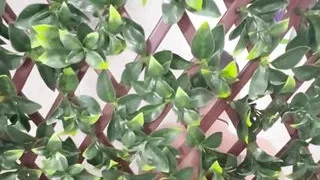 It's the Most Wonderful Time of the Year