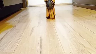 Crossdresser Walks in Sexy Black Leather Pointed Toe Charlotte Luxury High Heels Pumps