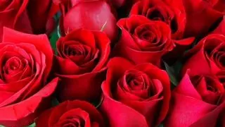 Bangla choto golpo new hot bangla choti golpo full story in Bangla