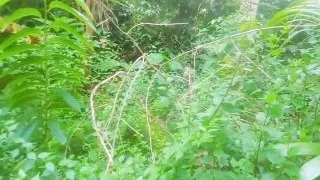 Jungle Fun Sex Hot Village Desi Girl
