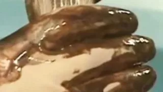 She Wants His Cumshot For Dessert