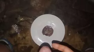 Cum on Food cupcakes top of load