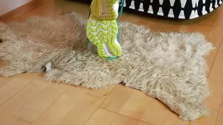 Pantyhose and Running Shoes