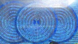 Anal - He Had to Fuck This Big Oiled Ass