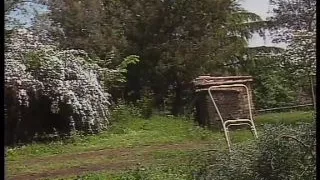 Assicuratrice di Cazzi #2 - scene #03